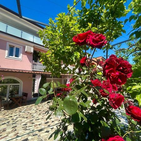 Apartments Tereza Novigrad Istria Eksteriør bilde
